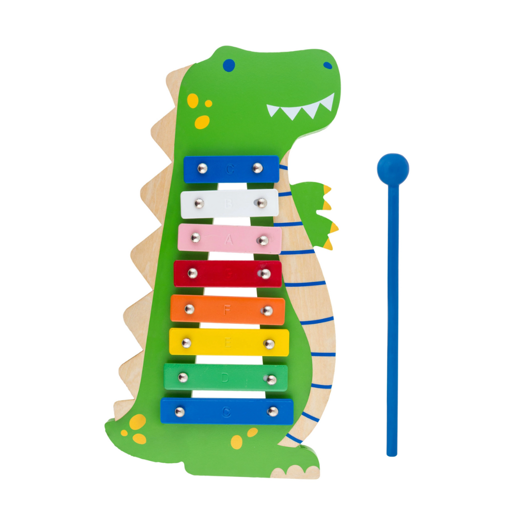 Magical Musical Kid's Gift Set with Choice of Xylophone