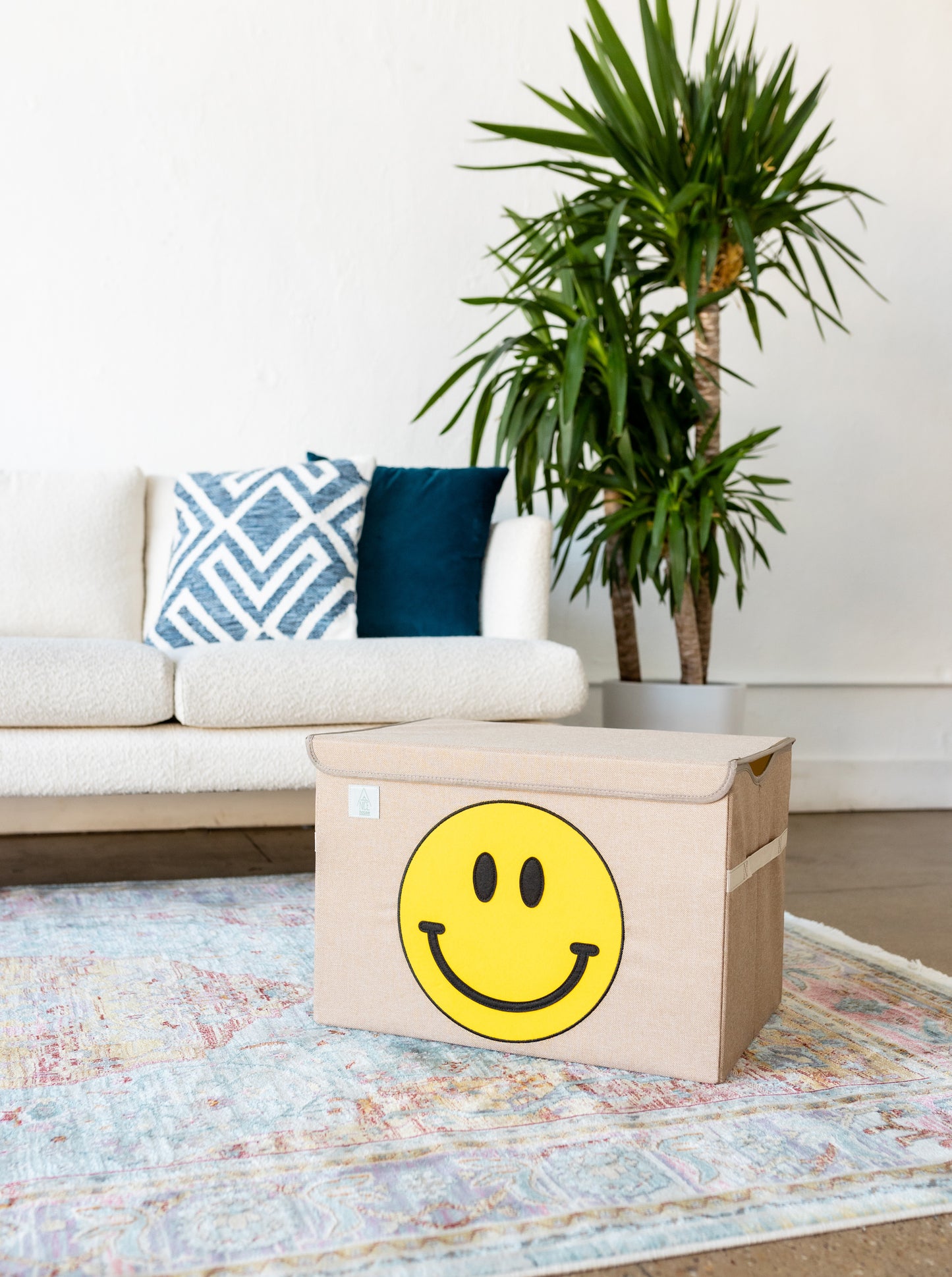 Happy Face Appliquéd, Collapsible Toy Box and Storage Box :) (Personalization Options)